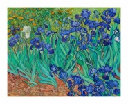 Van Gogh Irises Blommor