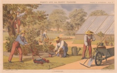 Ocupația în grădinărit victoriană Art