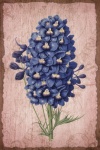Vintage bloemsierkunst illustratie