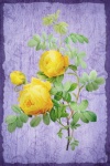 Vintage bloemen rozen illustratie
