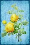 Ilustrație vintage cu trandafiri florali