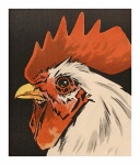 Vintage rooster print illustration