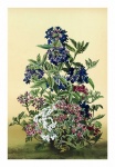 Vintage Art Floral Illustration
