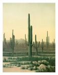 Vintage art cactus desert