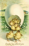 Vintage Easter Egg Easter Chick