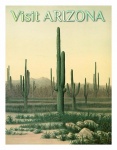 Vintage travel Arizona poster