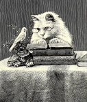 Vintage Bird Cat Illustration