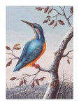 Artă veche a păsărilor de epocă