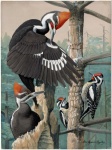 Vintage bird art painting