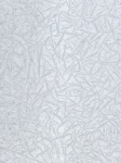 White Ice Texture