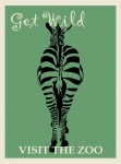 Zebra Vizitează Zoo Poster