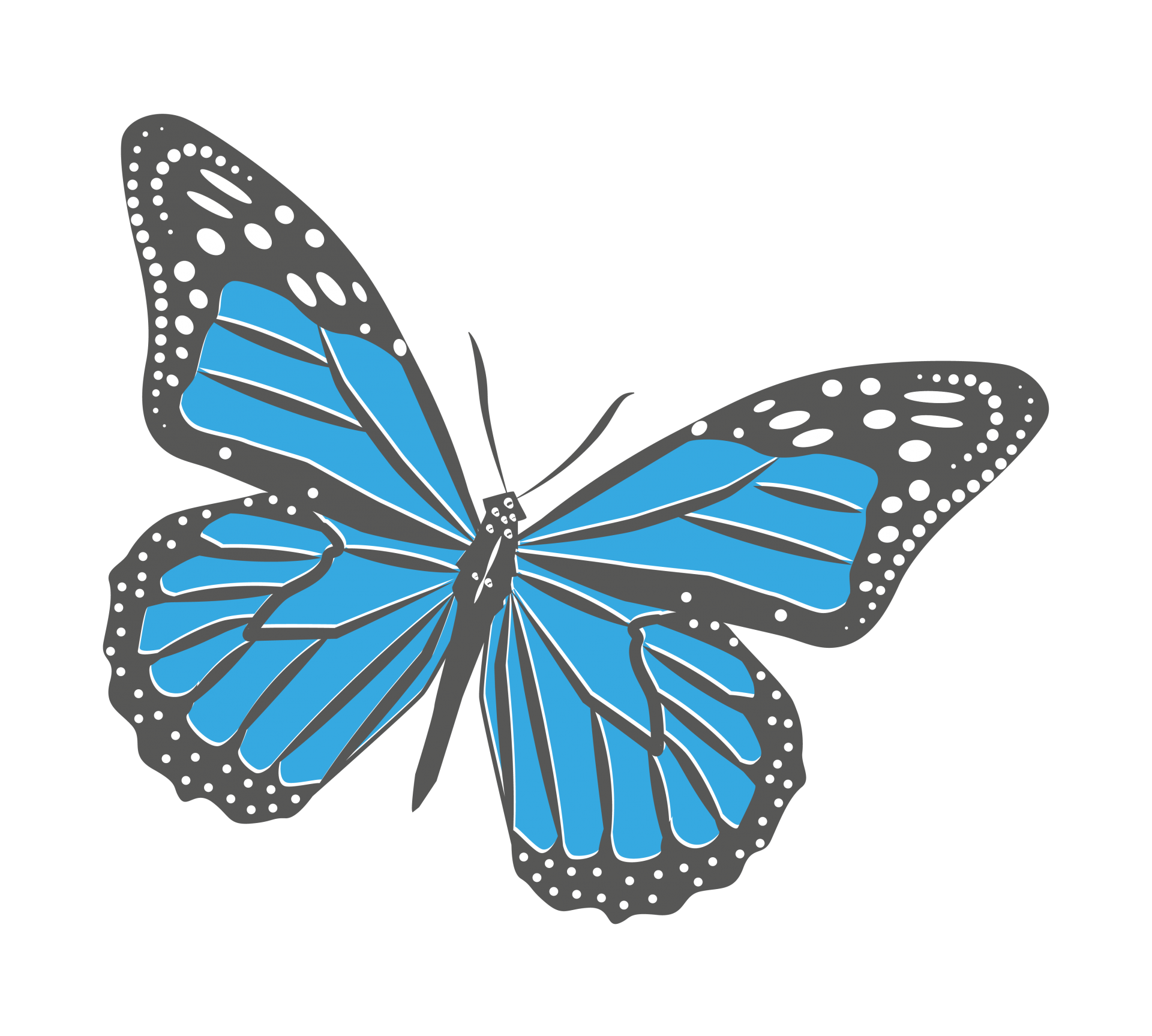 Blue Butterfly Clip Art Free Stock Photo - Public Domain Pictures