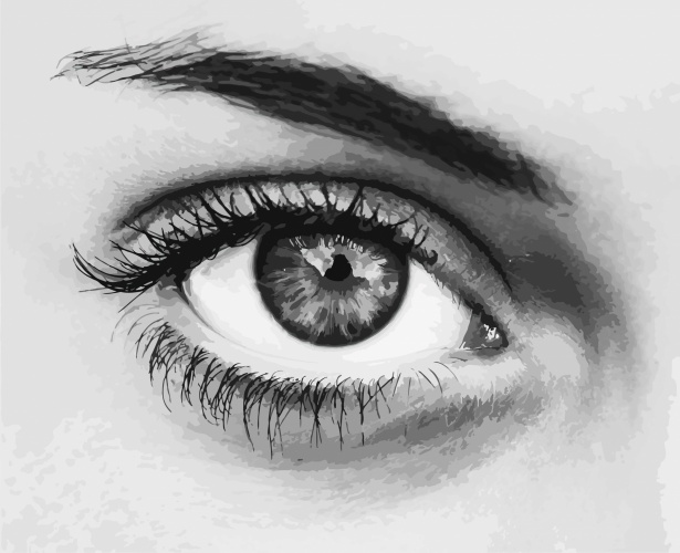 Eye Of Woman Illustration Free Stock Photo - Public Domain Pictures