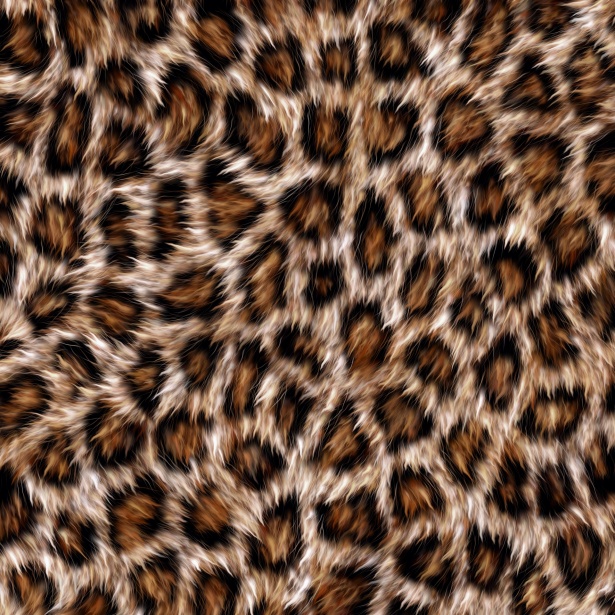 Fur texture top view. Brown fur background. Fur pattern. Texture