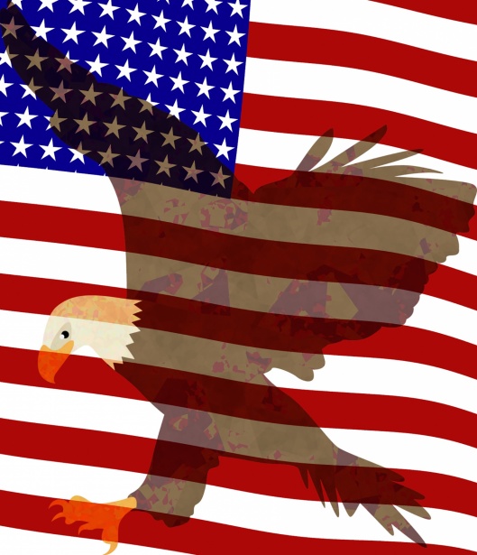 America Flag Eagle Poster Free Stock Photo - Public Domain Pictures