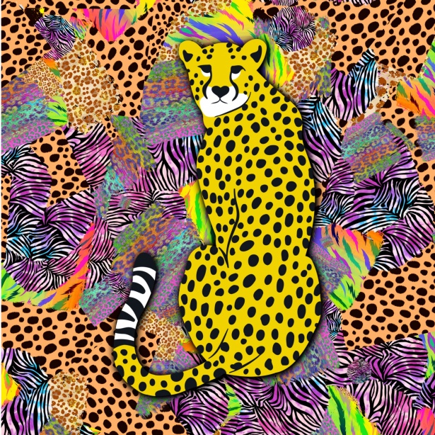 Cheetah On Animal Print Background Free Stock Photo - Public Domain ...