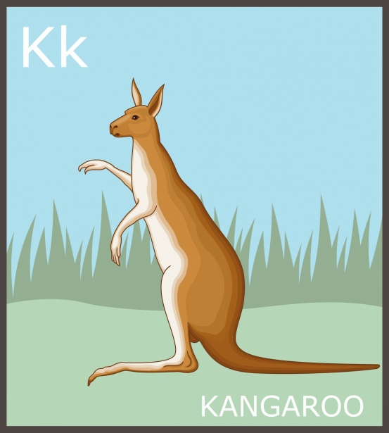 Letter K, Kangaroo Alphabet Free Stock Photo - Public Domain Pictures