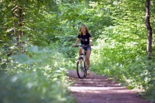 Bicikli, lány, nő, erdő, széle