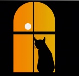 Chat, dans, fenêtre, silhouette