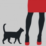 Gato, silhueta de pernas de mulher