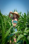 Corn, corn field, field, girl