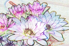 Cyfrowy kwiat 205