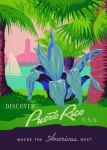 Discover Puerto Rico USA