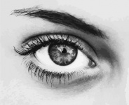 Ilustração de olho de mulher