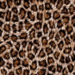 Motif léopard de fond de fourrure