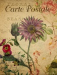 Flower Vintage Floral Postcard