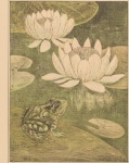 Frog And Water Lilies