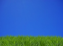 草の牧草地の青い空