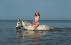 Horse, Girl, Woman, Bathing A Horse