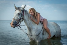 Cavalo, menina, mulher, dando banho em u