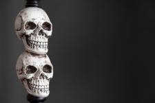 Human Skulls For Halloween
