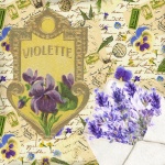 Vintage Postcard Purple Flower