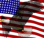 Águila de la bandera de América Póster