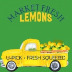 Poster del camion del limone