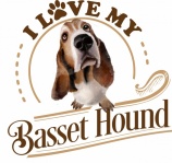 Basset hound kutya poszter