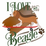 Cartaz de beagle no skate