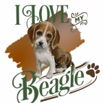 Pôster de Cachorro Beagle