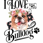 Bulldog affisch