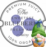 Vintage Blueberry Label Gnome