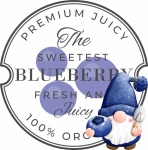 Vintage Blueberry Label Gnome