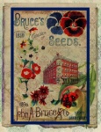 Cartaz do Catálogo de Sementes Vintage
