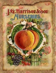Vintage Peach Nurseries Poster