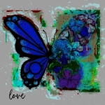 Floral Butterfly Love Abstract Art