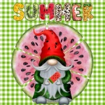 Summer Watermelon Gnome