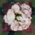 Pink Digital Art Flower