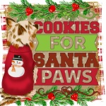 Biscotti natalizi per cani Babbo Natale